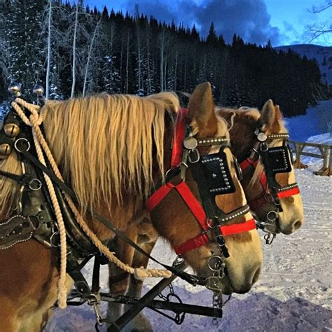 Park City Sleigh Rides Midway Adventure Company
