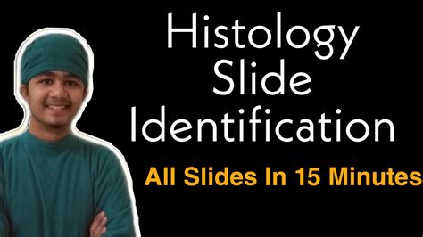 Study Guide Modern Art history slide identification