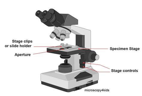 Slide Clip Microscope Function
