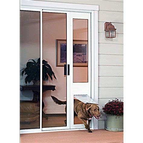 sliding glass door doggy door insert