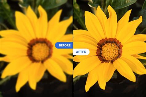 Watch Slightly Out Of Focus Latest