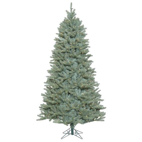 slim blue spruce christmas tree