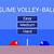 slime volleyball unblocked