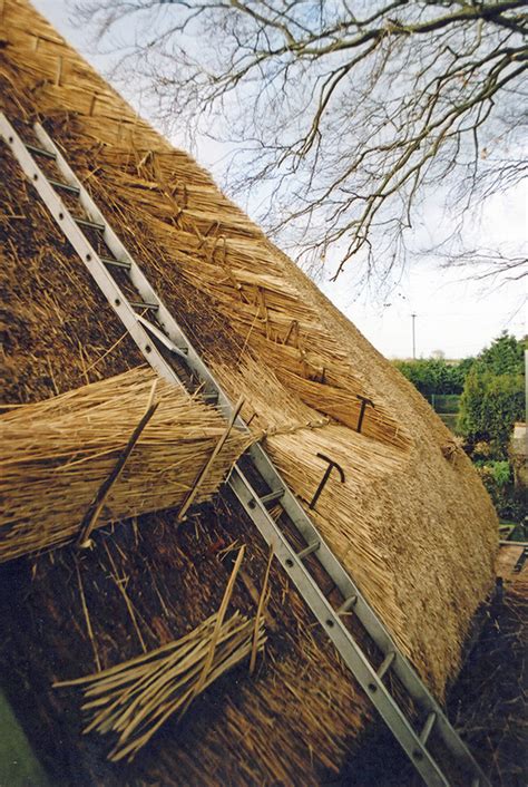 www.icouldlivehere.org:sloped thatch roof