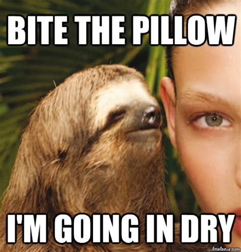 Sloth Meme Bite The Pillow