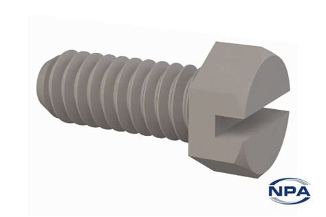 Slotted Cap Screw
