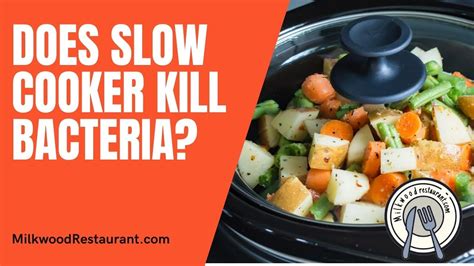Slow Cooker Kill Bacteria