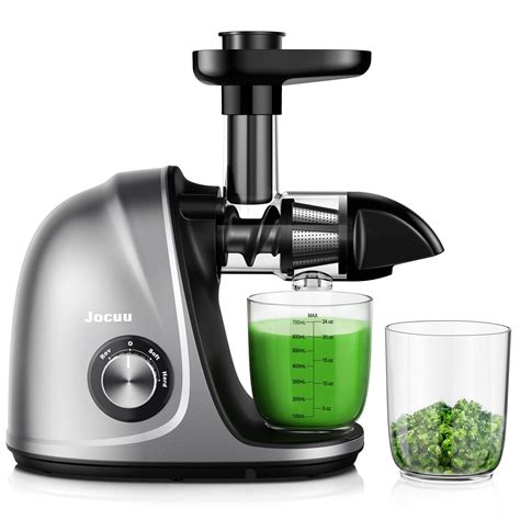 Slow Juicer Masticating