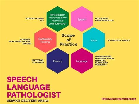 SLP Meaning in Workplace