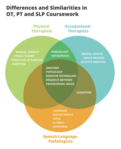 5 Key SLP vs OT Differences