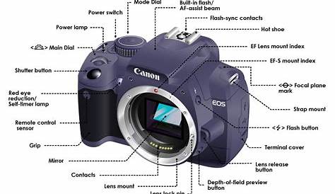 SLR Camera diagram Photography Personal Space