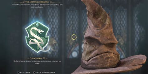 Slytherin Sorting Hat