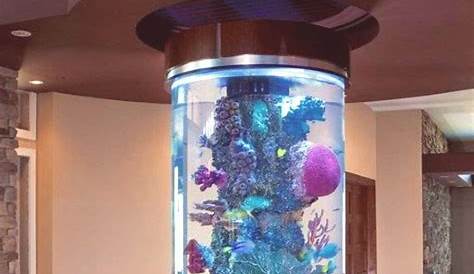 Small Aquarium Decoration Ideas At Home Diy Update Today