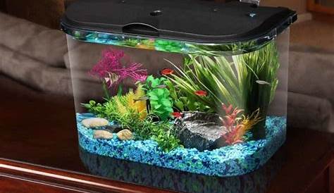 27 Small Fish Tank Ideas Complement Your Home With Style!