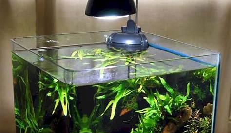 Cool Small Aquarium Fish Aquarium Design Ideas