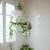 small bathroom ideas with plants