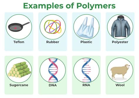 Polymers Free FullText An Excursion into the Intriguing World of