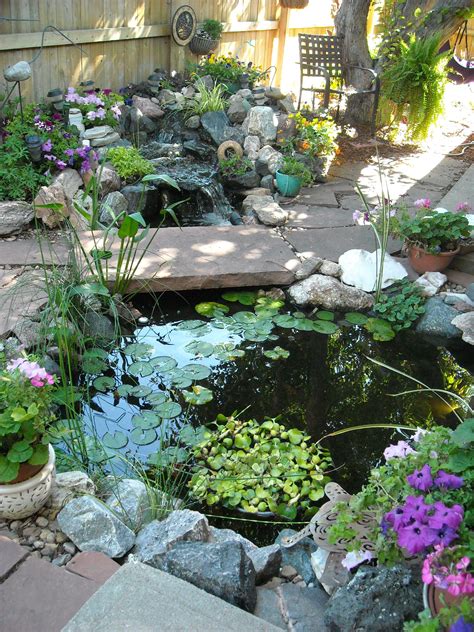 Urban backyard Petit bassin de jardin, Bassin de jardin, Jardin d'eau