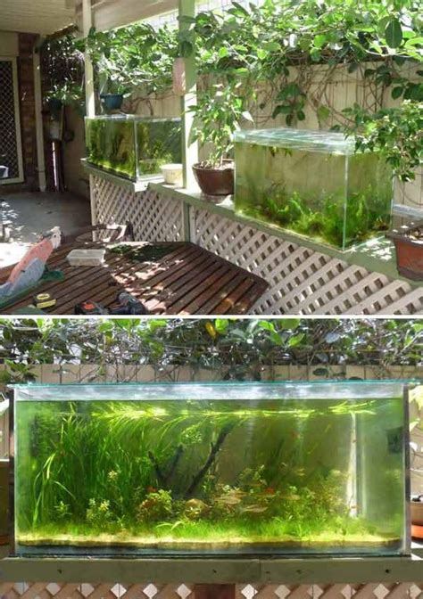 22 Small Garden or Backyard Aquarium Ideas Will Blow Your Mind 12thBlog