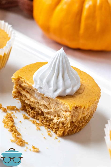 Small Pumpkin Cheesecake Recipe