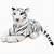 small white tiger stuffed animal