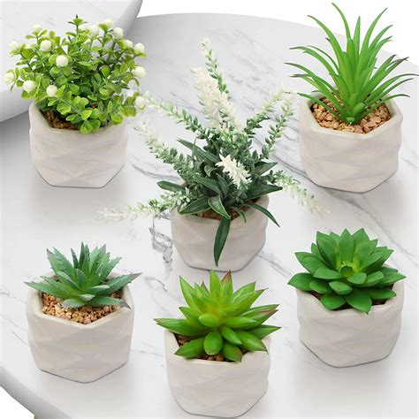 Small Artificial Plants The Range