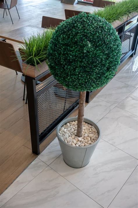 Small Artificial Tree In Pot