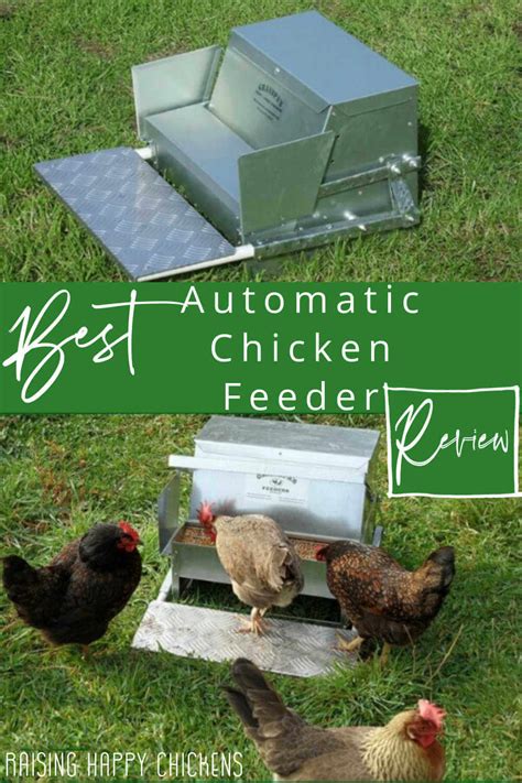 Small Auto Chicken Feeder