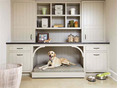 Dog Room Ideas Puppy room, Dog room decor, Dog corner