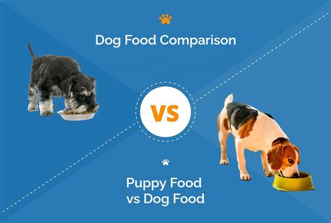 Small Breed Dog Food Difference
