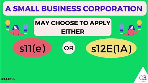 small business corporation as defined in s12e