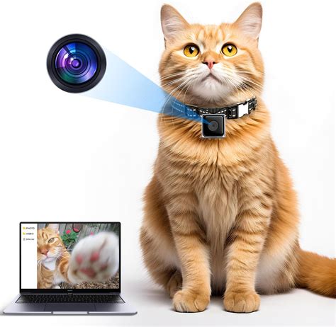 Small Camera For Cat Collar