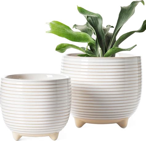 Small Ceramic Pots For Plants Set