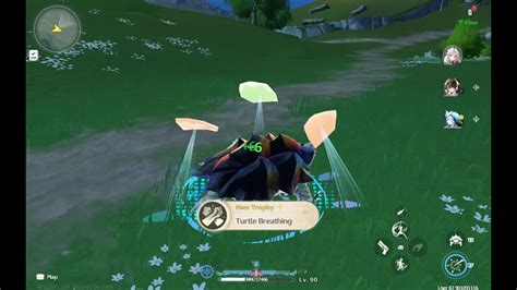 small chelonian type echo