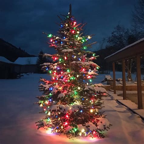 Small Christmas Tree Outside Lights
