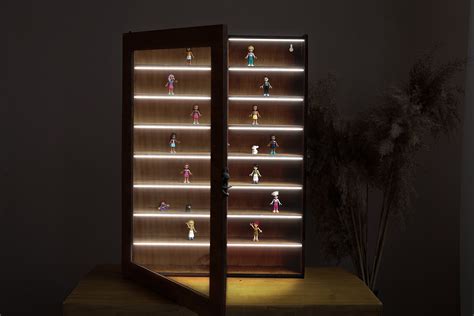 Small Display Case With Lights
