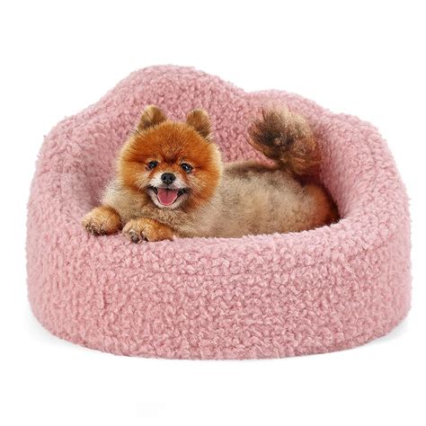 Small Dog Beds Under $10