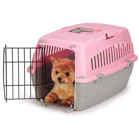 Small Dog Crate Plastic
