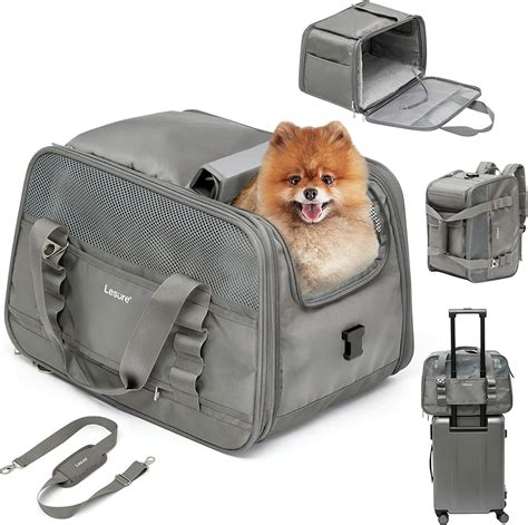 Small Dog Flight Carrier