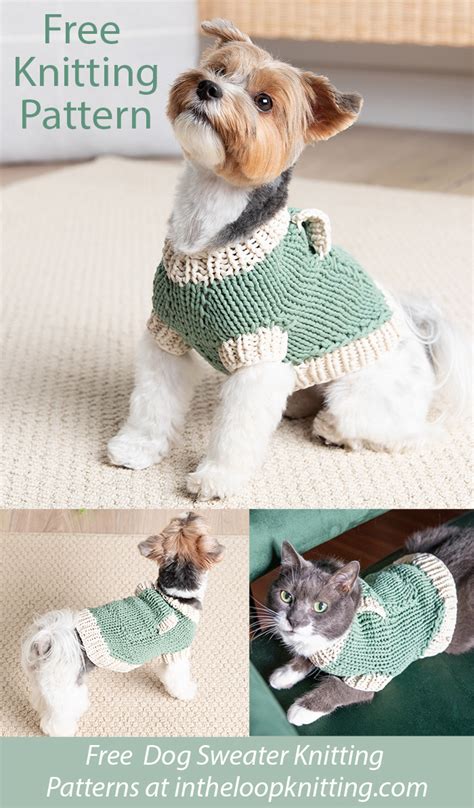 Small Dog Jumper Knitting Pattern Uk