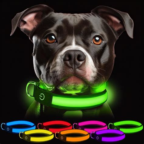 Small Dog Light Up Collar