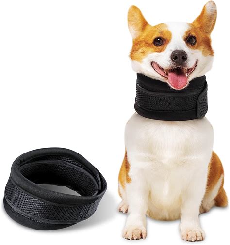 Small Dog Neck Collar
