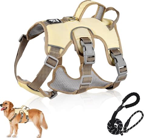 Small Dog Safety Harness