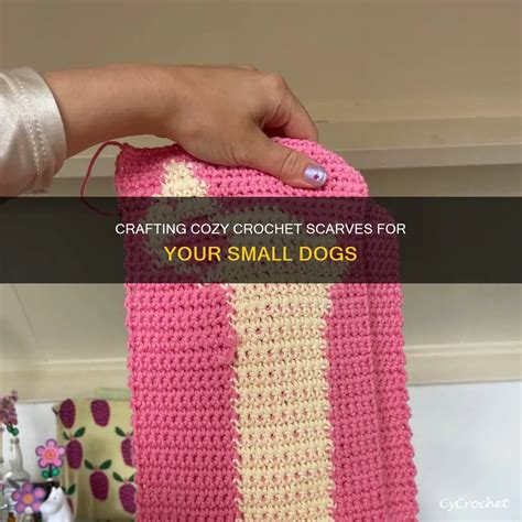 Small Dog Scarf Pattern