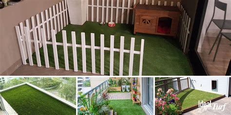 Small Dog To Run With