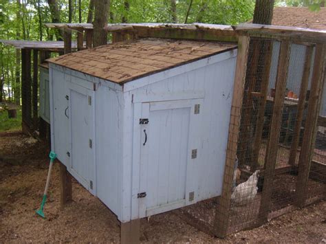 Small Elevated Chicken Coop