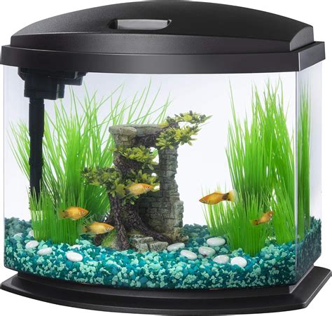 Small Fish Tanks Amazon