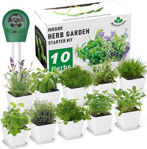 Small Garden Kit