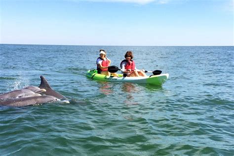 Small group dolphin tour