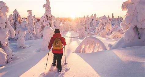 small group tours of norway